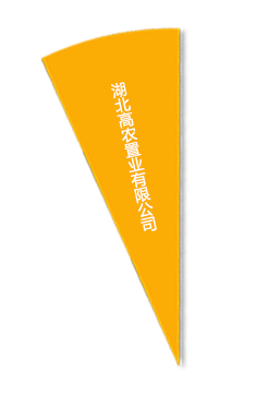 币游国际·(中国)最新官方网站