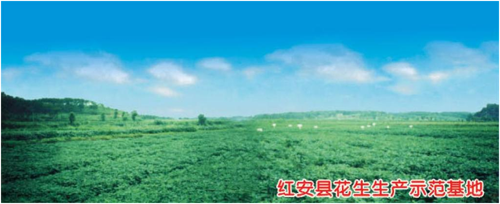 币游国际·(中国)最新官方网站