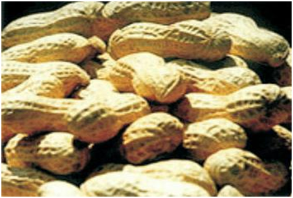 币游国际·(中国)最新官方网站