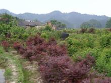 币游国际·(中国)最新官方网站