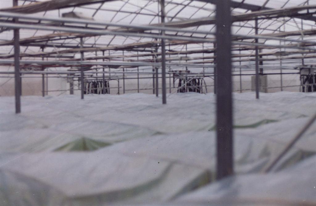 币游国际·(中国)最新官方网站