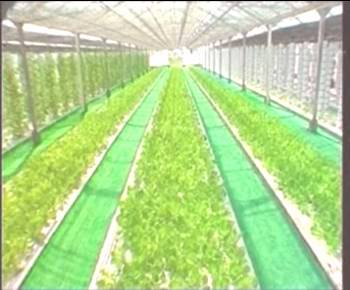 币游国际·(中国)最新官方网站