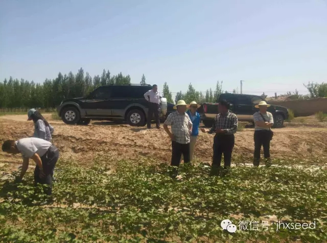 币游国际·(中国)最新官方网站