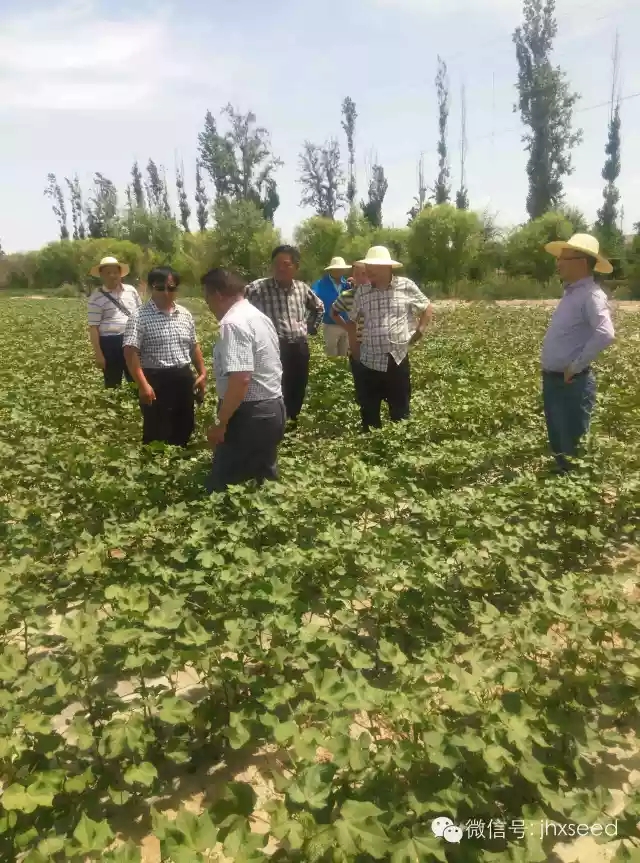 币游国际·(中国)最新官方网站