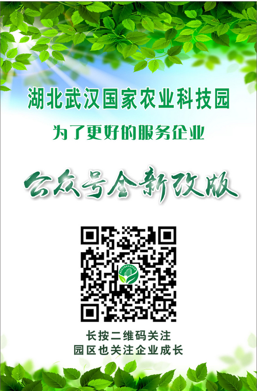 币游国际·(中国)最新官方网站