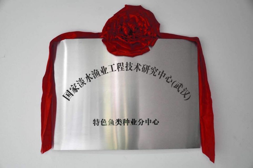 币游国际·(中国)最新官方网站